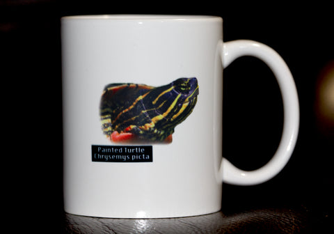 11oz Painted Turtle Mug